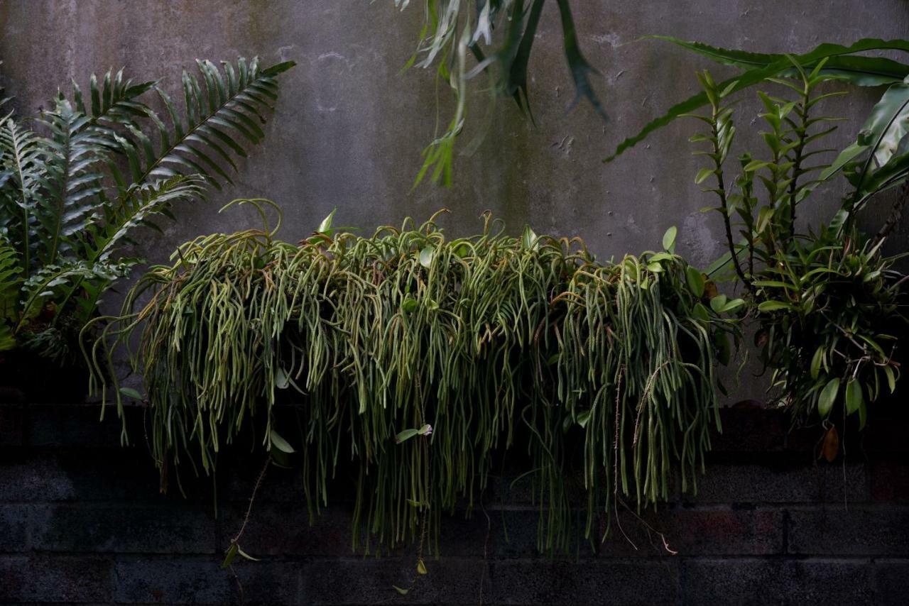 Lost And Find Homestay Guanshan Exterior photo